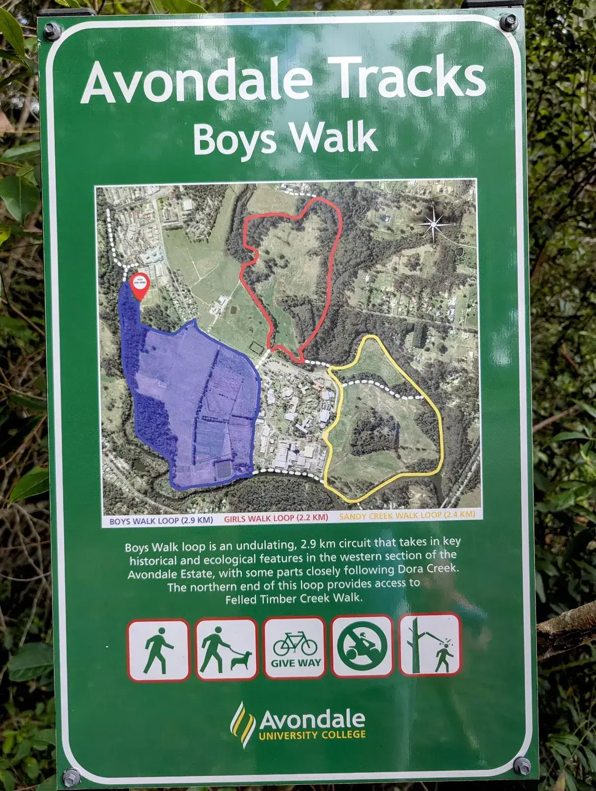 Avondale Tracks trailhead sign mapping the Boys, Girls and Sandy Creek walks