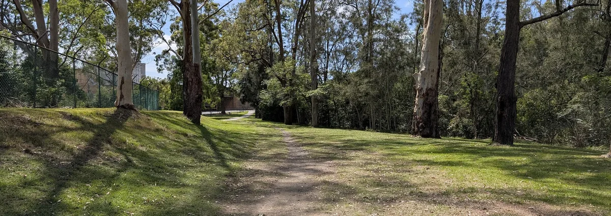 Grassy trail beside tall gum trees near an oval at Avondale