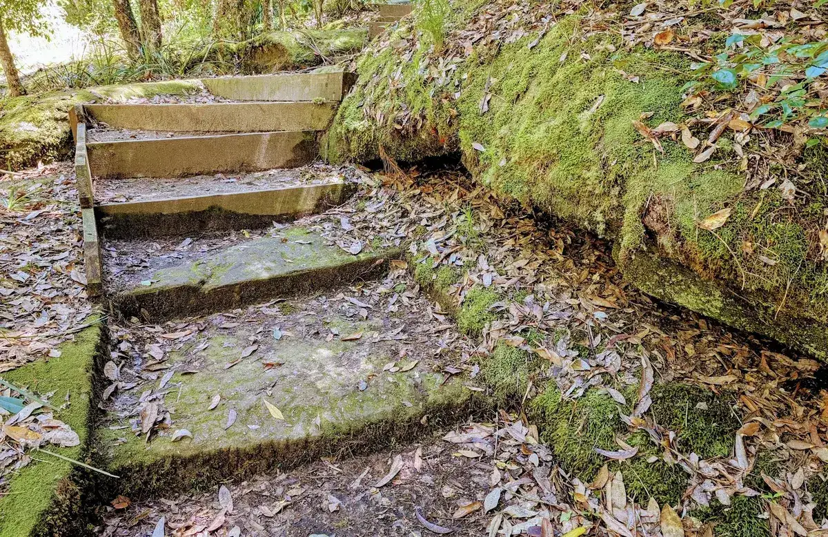 Mossy sandstone steps climbing the track at Boardinghouse Dam