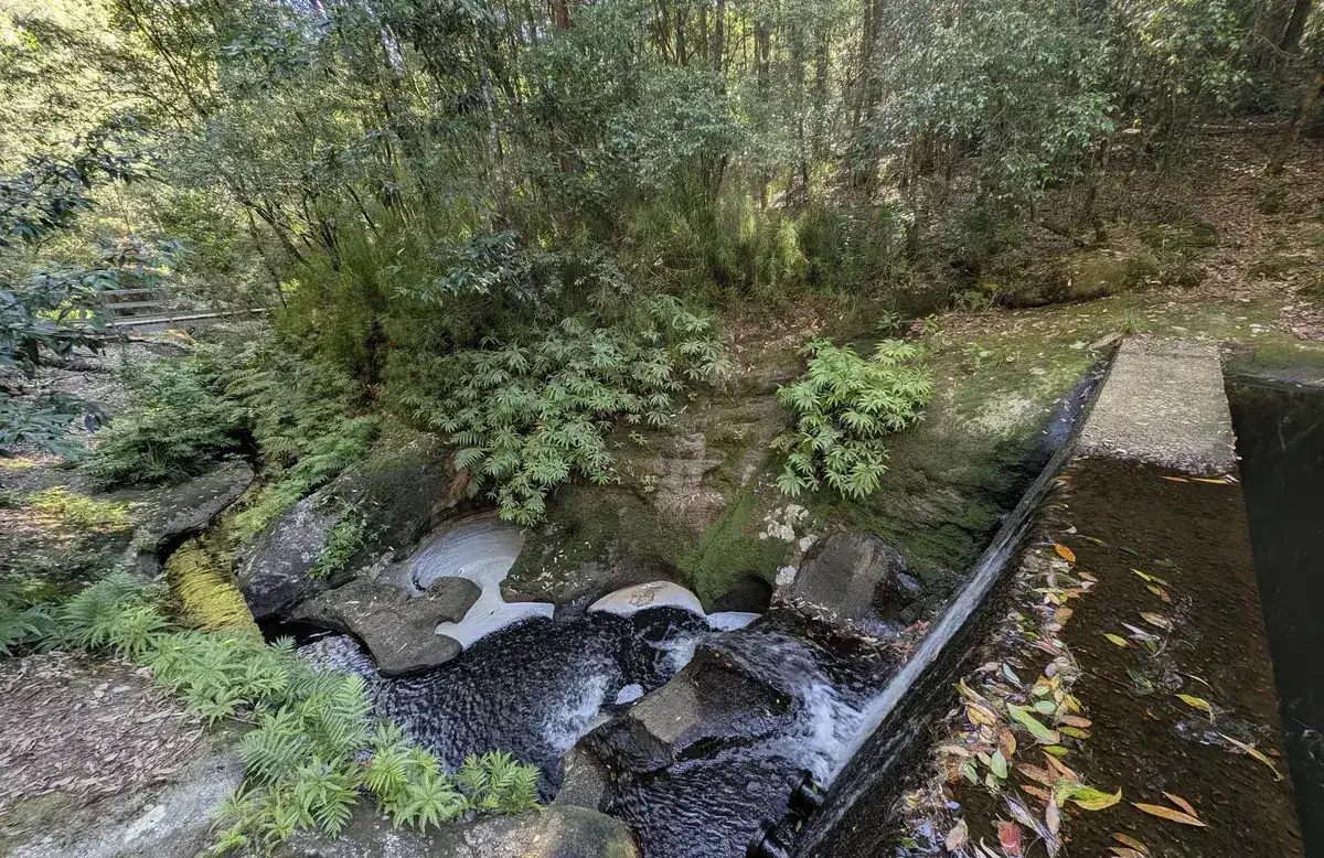 Waterfall spilling over a rocky spillway with ferns near the bridge