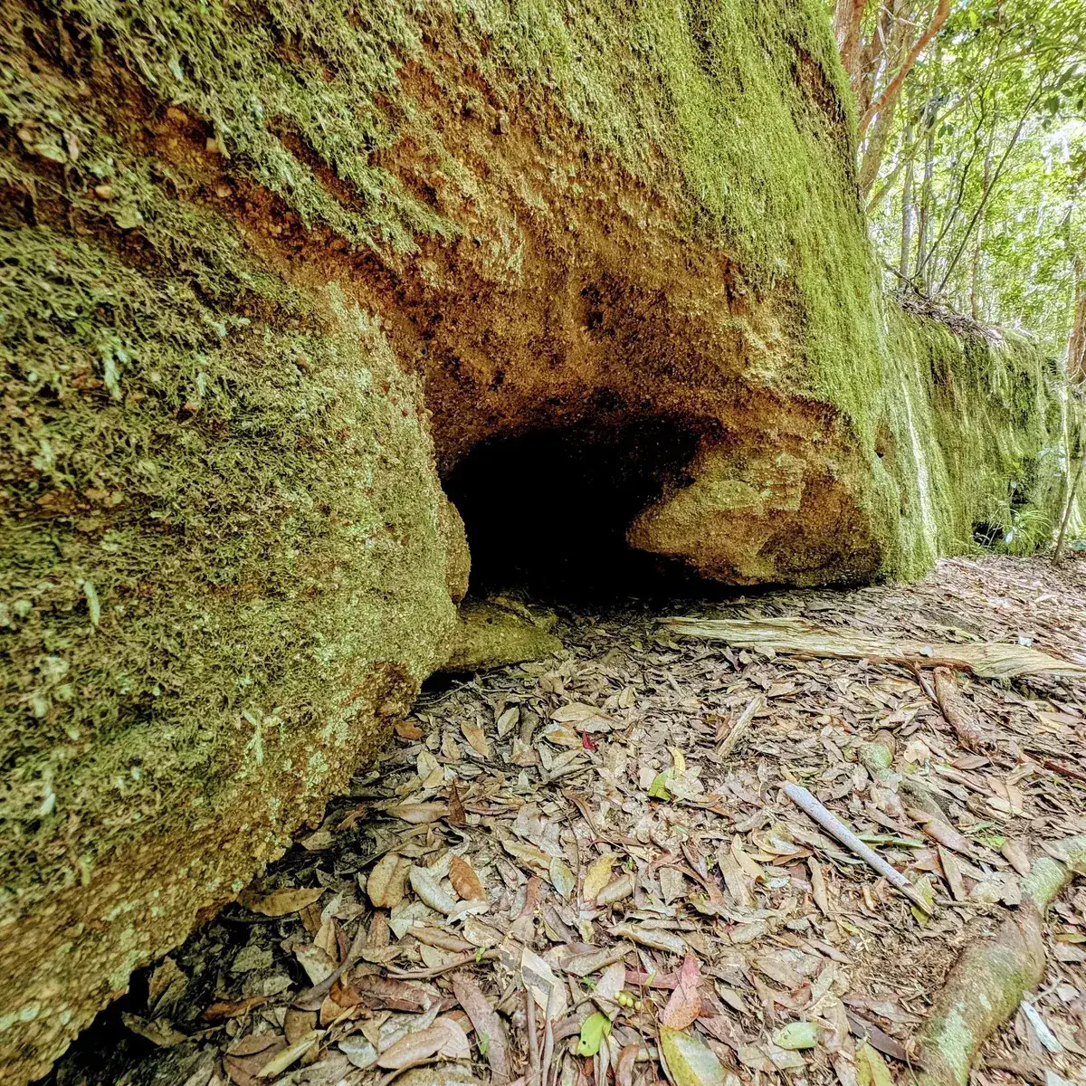 Small cave like opening beneath a moss covered sandstone boulder