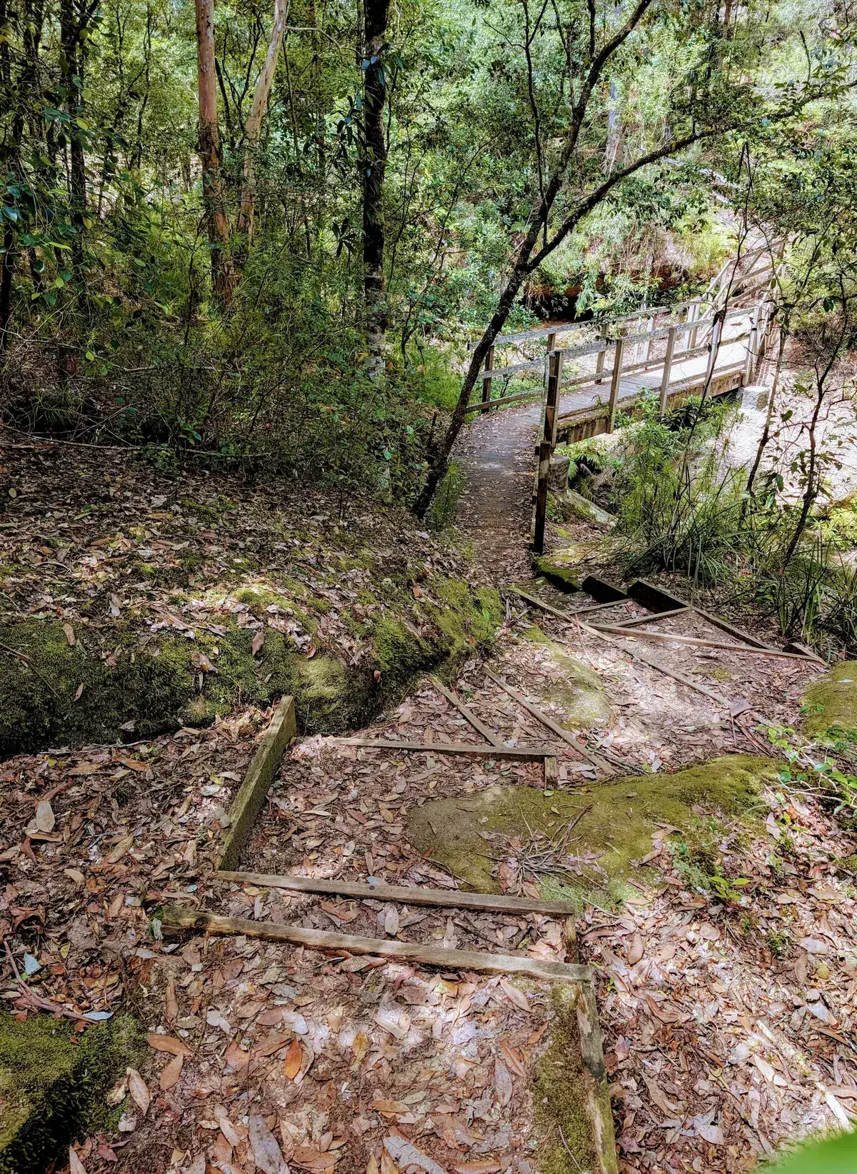 Track descending past worn timber steps toward a creek bridge