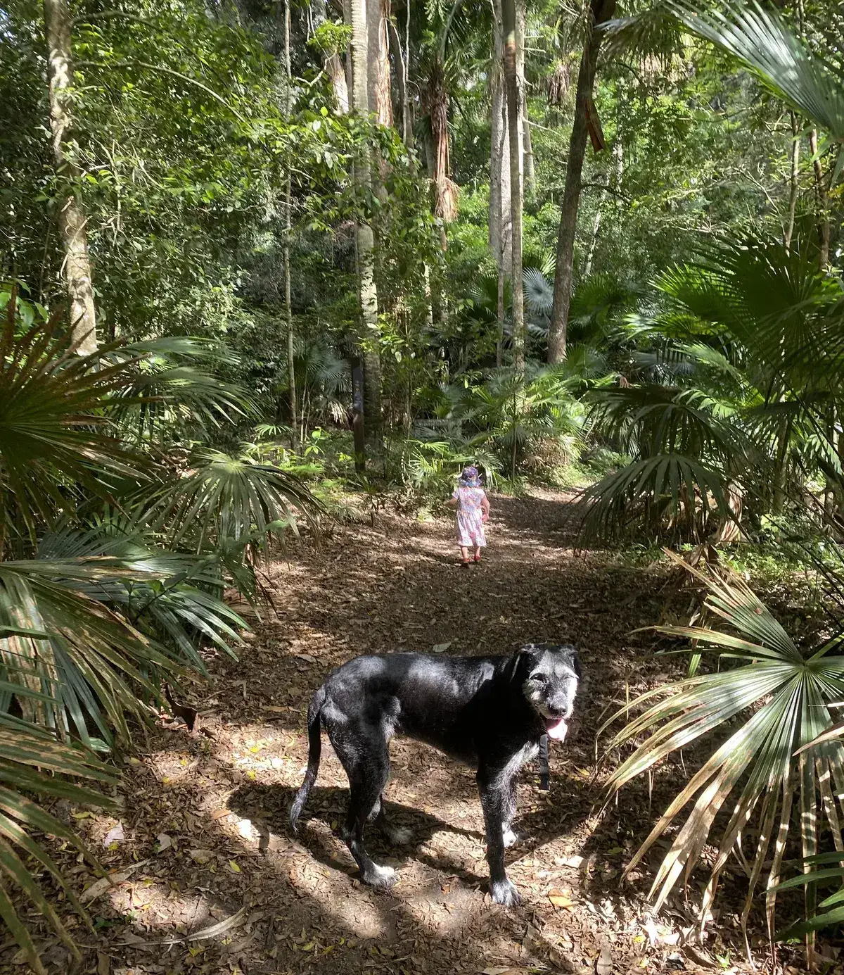Strickland State Forest