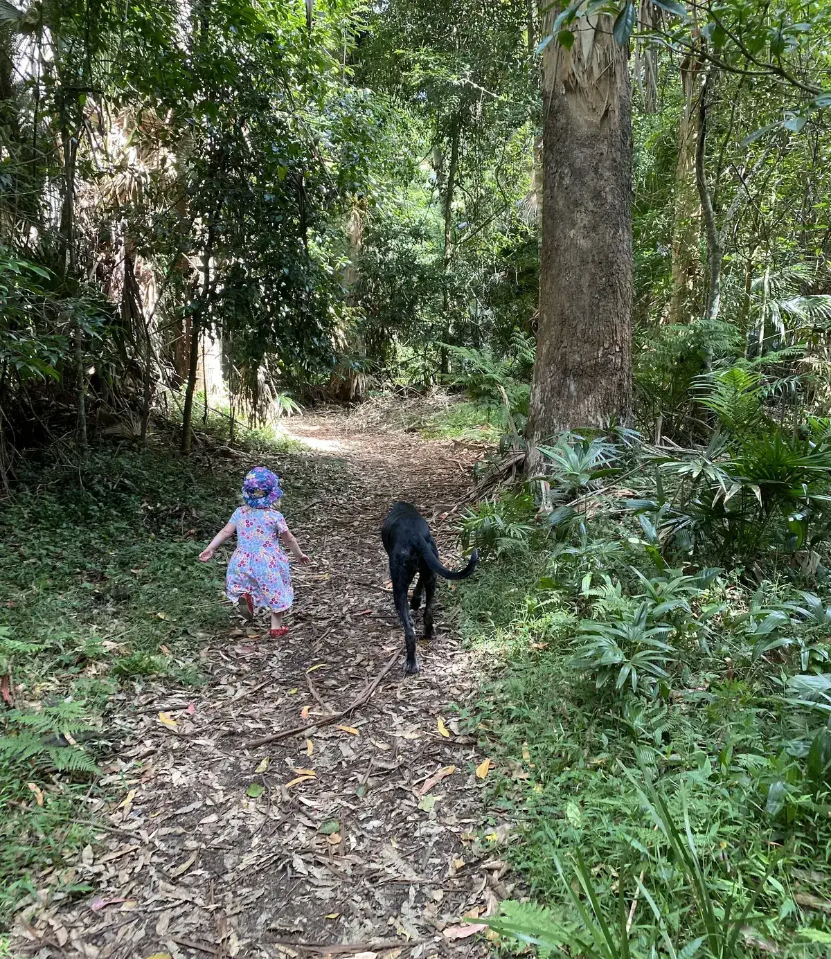 Strickland State Forest