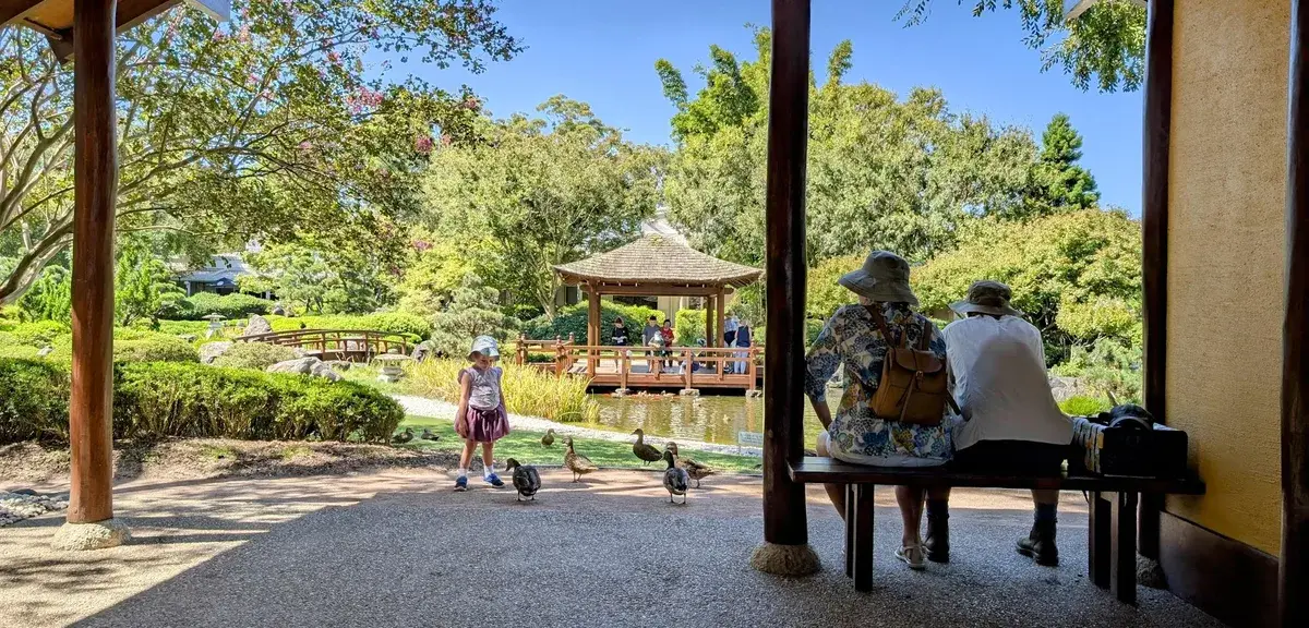 Visitors feeding ducks beside a Japanese garden pond and pergola