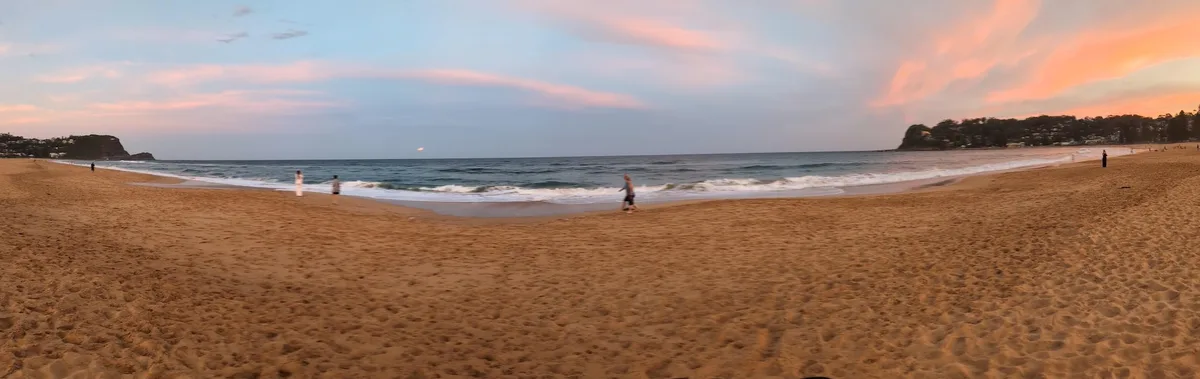 Pink sunset panorama over North Avoca beach with walkers near the shore