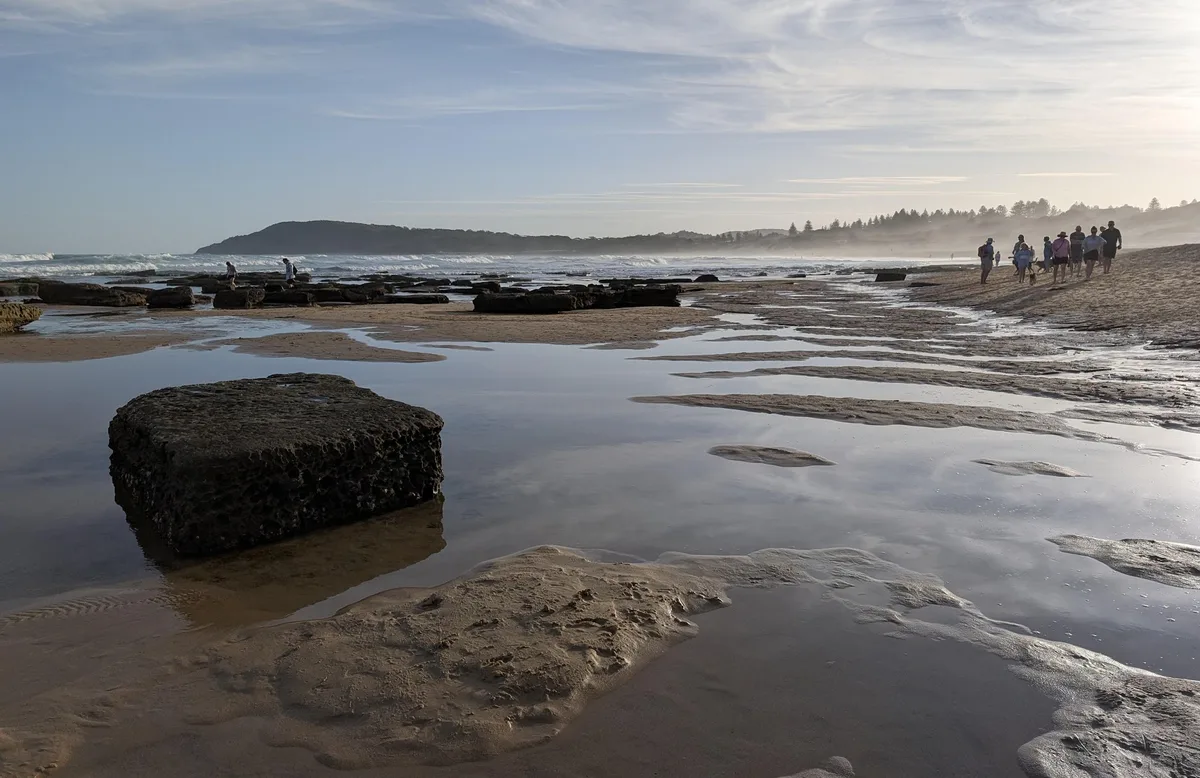 Rock platform at low tide with people exploring pools near North Shelly