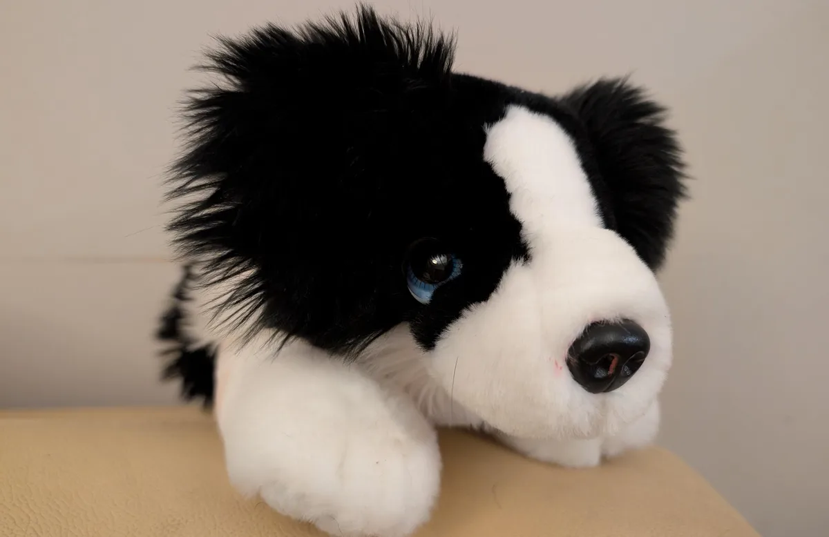 Black and white border collie plush toy with blue eyes