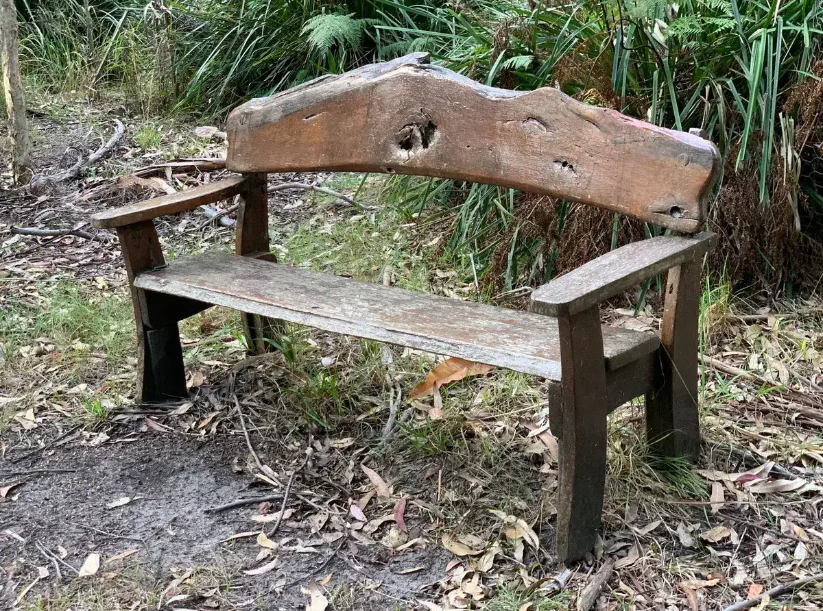 Rustic timber bench with armrests among ferns and grass trees