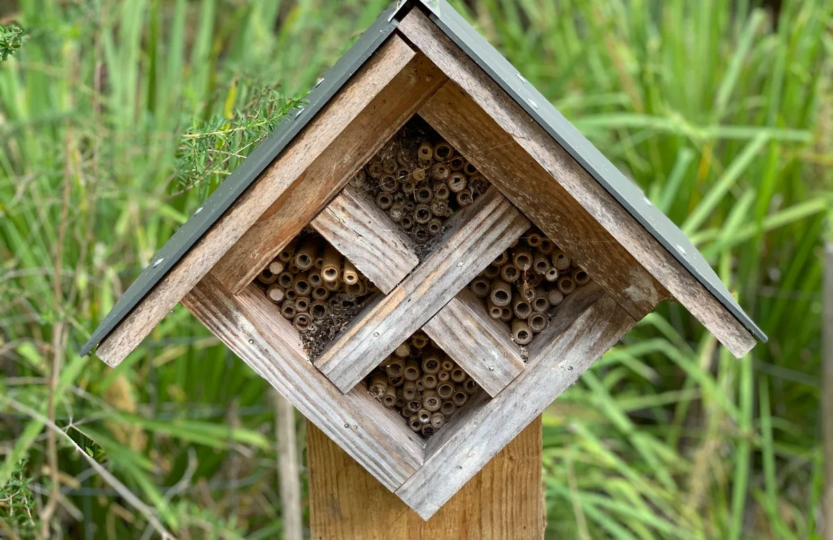 Diamond shaped insect hotel packed with bamboo nesting tubes