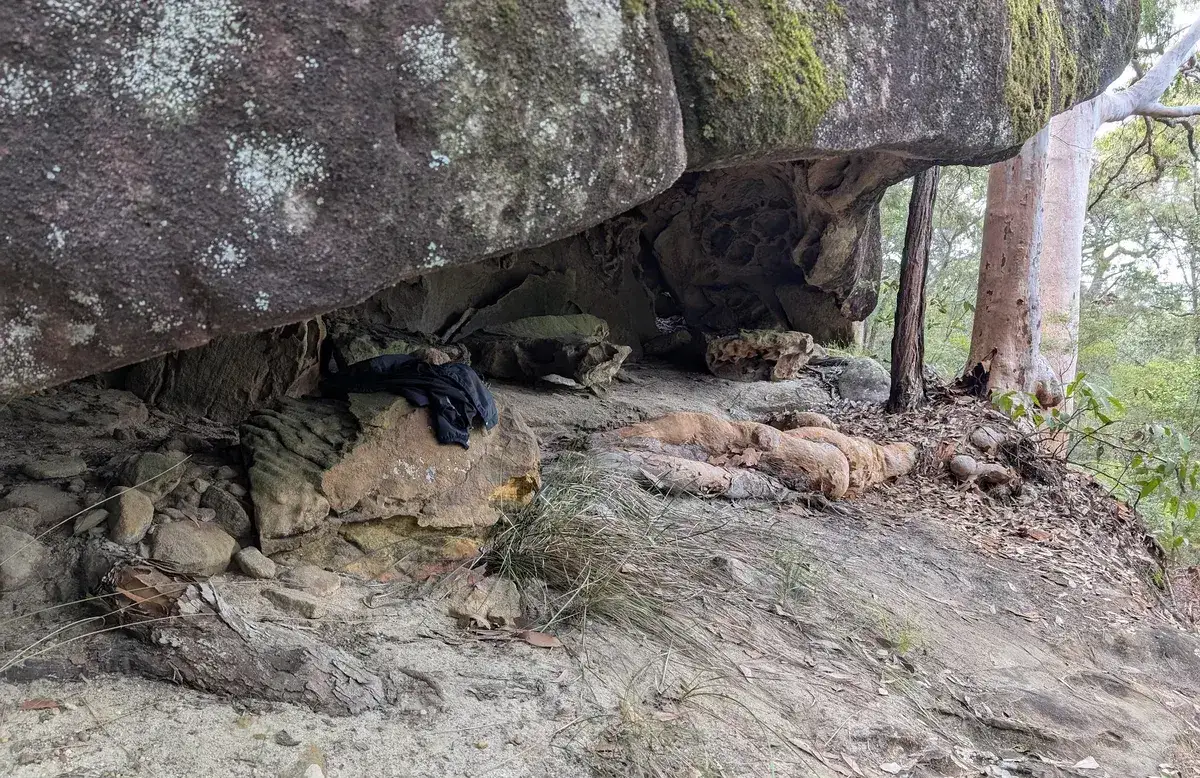 Spion kop koolewong