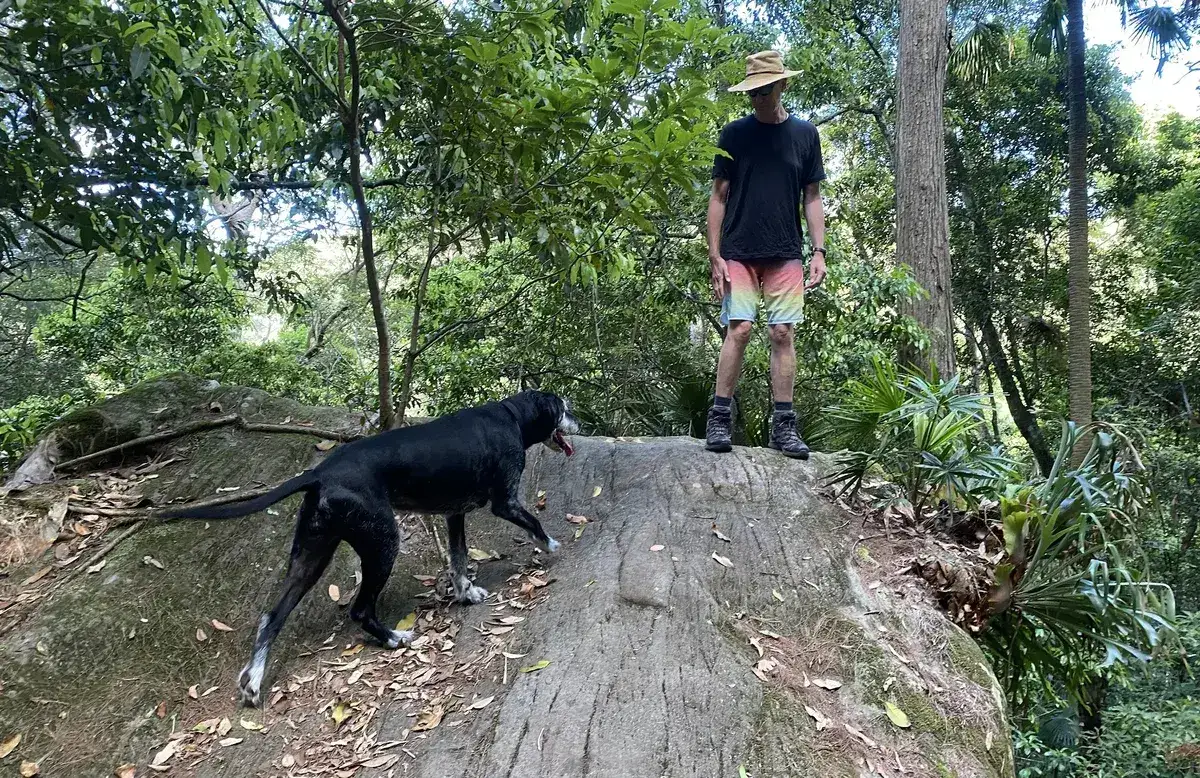 Hiker and his dog standing atop a large boulder in Strickland forest