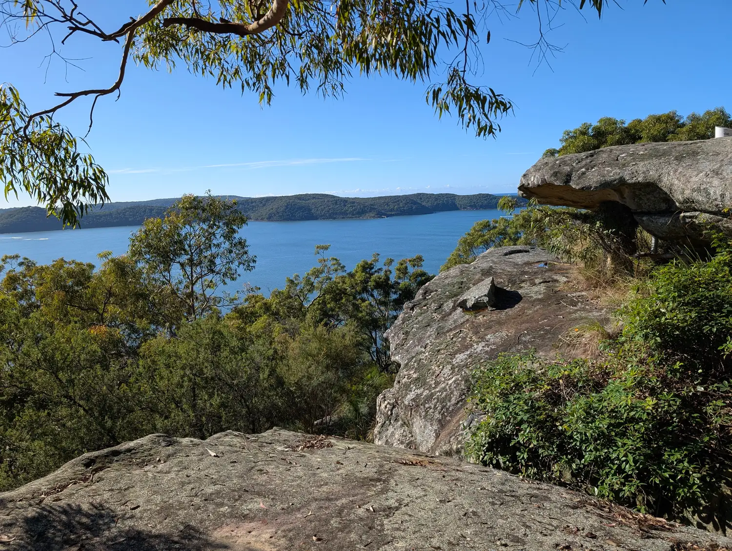 Essential Things to Check Before Buying a Property on the Central Coast NSW