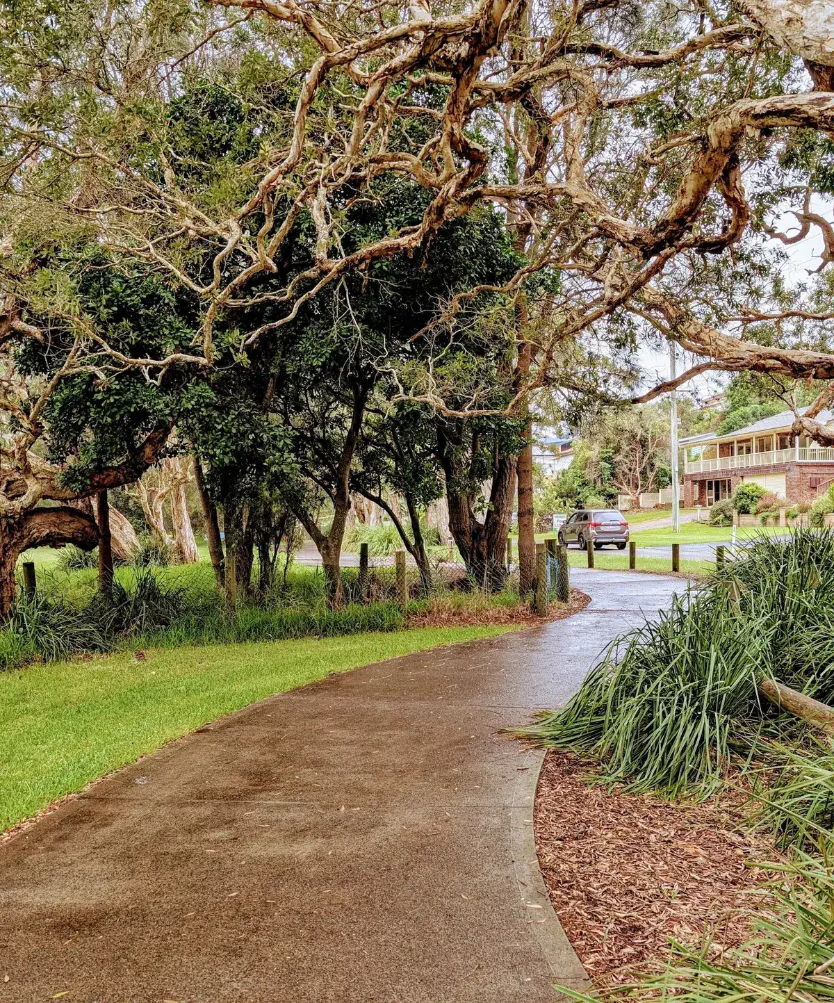 concrete path curving through parkland trees near a suburban street
